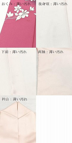 平和屋着物■浅井忠治　訪問着　手描き　草花文　暈し染め　正絹　逸品　BAAX9621yc
