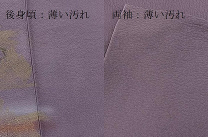 平和屋着物■訪問着　御所解風景文　暈し染め　金彩　正絹　逸品　BAAX9663yc