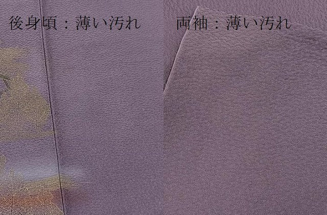 平和屋着物■訪問着　御所解風景文　暈し染め　金彩　正絹　逸品　BAAX9663yc