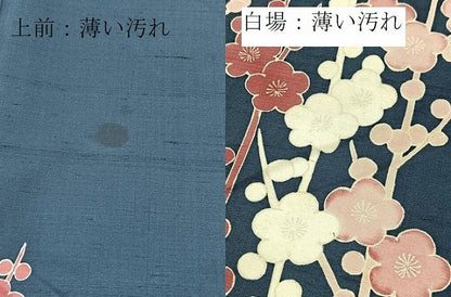 平和屋着物■訪問着　作家物　紬地　槍梅　正絹　逸品　未使用　BAAX9670yc