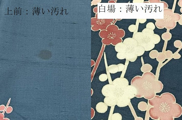 平和屋着物■訪問着　作家物　紬地　槍梅　正絹　逸品　未使用　BAAX9670yc