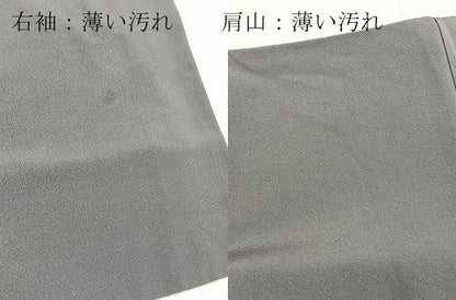 平和屋着物■色留訪問着　十二単　暈し染め　金彩　正絹　逸品　BAAX9751yc