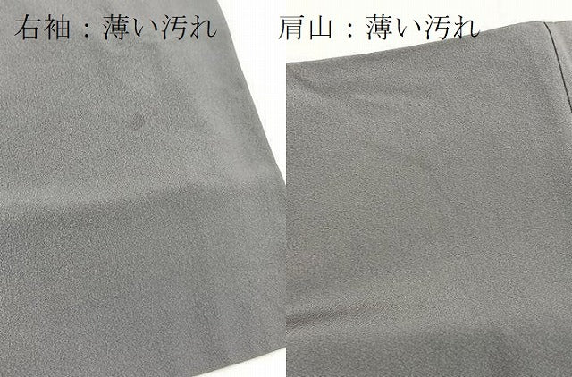 平和屋着物■色留訪問着　十二単　暈し染め　金彩　正絹　逸品　BAAX9751yc