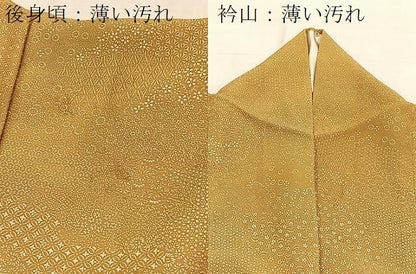 平和屋着物■江戸小紋　寄せ小紋柄　正絹　逸品　BAAX9810yc