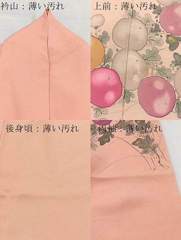 平和屋着物■染色作家　桐山紫香　手描き　訪問着　万寿菊　正絹　逸品　BAAX9821yc