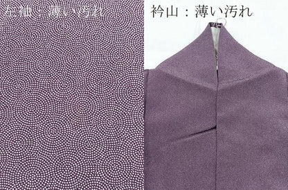 平和屋着物■江戸小紋　吉祥小紋柄　正絹　逸品　BAAX9832yc