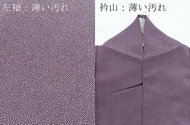 平和屋着物■江戸小紋　吉祥小紋柄　正絹　逸品　BAAX9832yc