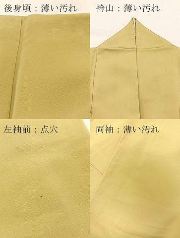 平和屋着物■豪華色留袖　寿光織　伊勢物語　金糸　正絹　逸品　BAAX9835yc