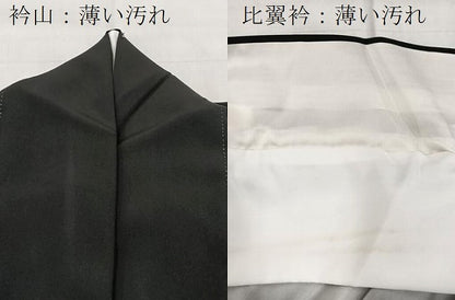 平和屋着物■豪華黒留袖　駒刺繍　飛鶴祇園祭文　金銀彩　正絹　逸品　BAAX9840yc