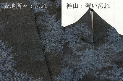 平和屋着物■上質な紬　草木文　正絹　逸品　BAAX9893yc