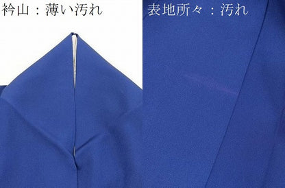 平和屋着物■訪問着　椿　金彩　正絹　逸品　BAAX9964yc