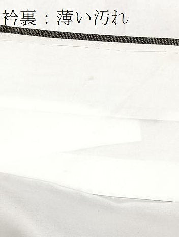 平和屋着物■本場大島紬　草花文　正絹　逸品　BAAX9975yc