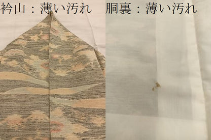 平和屋着物■上質な紬　風景花文　正絹　逸品　BAAY0008mz