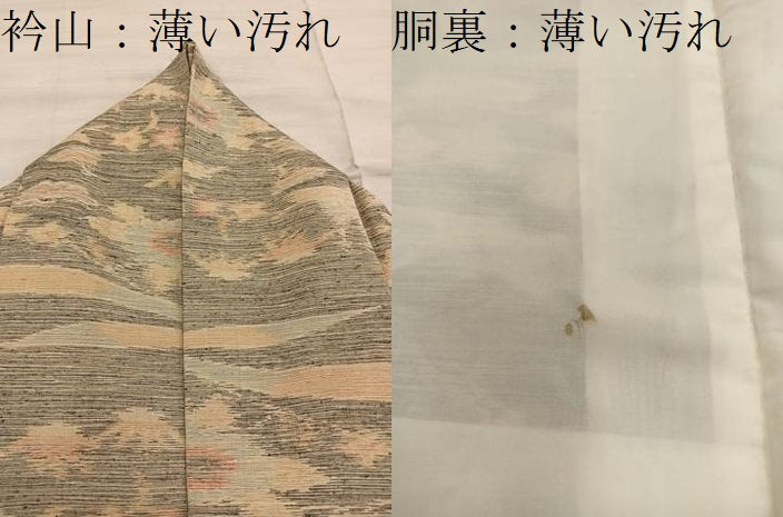 平和屋着物■上質な紬　風景花文　正絹　逸品　BAAY0008mz