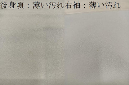 平和屋着物■豪華色留袖　寿光織　京洛名勝図絵　金糸　さが美扱い　正絹　逸品　BAAY0024mz