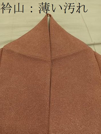 平和屋着物■江戸小紋　鮫小紋柄　正絹　逸品　BAAY0032mz