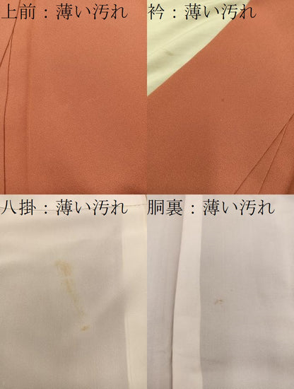 平和屋着物■色留訪問着　刺繍　文箱梅花文　暈し染め　金彩　正絹　逸品　BAAY0033mz