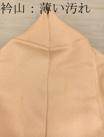 平和屋着物■訪問着　枝梅文　暈し染め　やまと誂製　正絹　逸品　BAAY0043mz