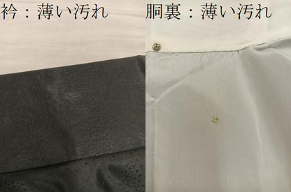 平和屋着物■訪問着　総刺繍　枝花文　黒地　金銀糸　正絹　逸品　BAAY0045mz