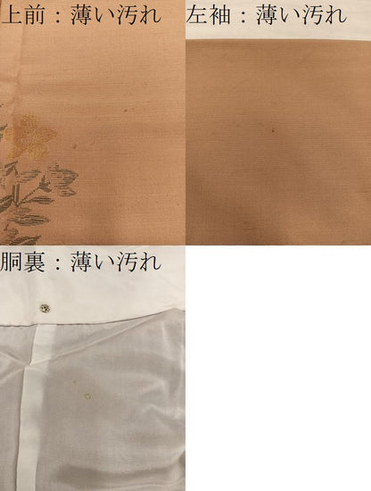 平和屋着物■訪問着　紬地　菊花文　金糸　正絹　逸品　BAAY0046mz