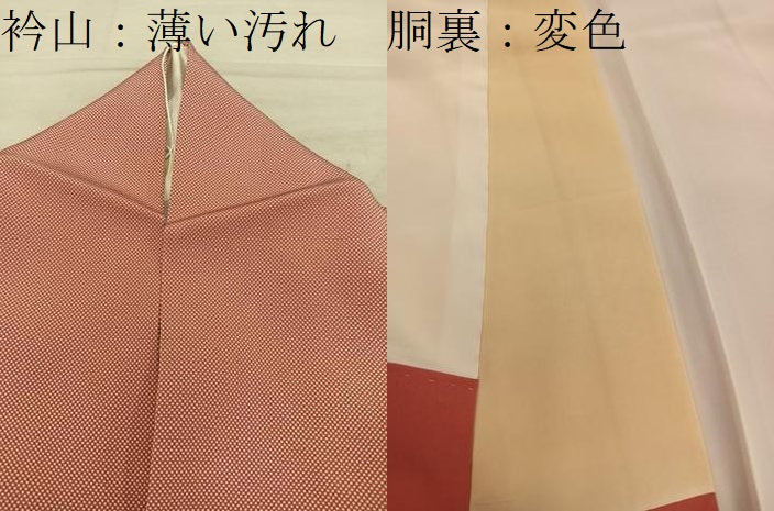 平和屋着物■江戸小紋　行儀　正絹　逸品　BAAY0124mz