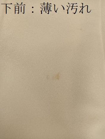 平和屋着物■訪問着　手描き　牡丹花文　正絹　逸品　BAAY0129mz