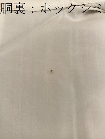 平和屋着物■上質な紬　草花間道　正絹　逸品　BAAY0139mz