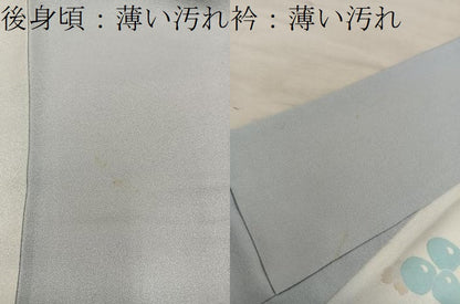 平和屋着物■訪問着　草花文　暈し染め　正絹　逸品　BAAY0181mz
