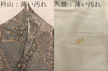平和屋着物■二代目更甚　江戸更紗　小紋　更紗花文　鬼しぼ縮緬　正絹　逸品　BAAY0184mz