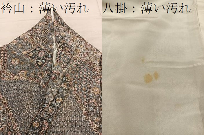 平和屋着物■二代目更甚　江戸更紗　小紋　更紗花文　鬼しぼ縮緬　正絹　逸品　BAAY0184mz
