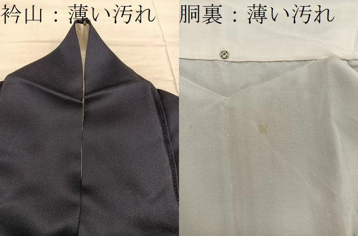 平和屋着物■訪問着　菊唐草文　暈し染め　三越扱い　正絹　逸品　BAAY0196mz