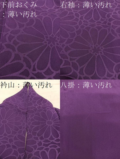 平和屋着物■上質なお召　菊花文　正絹　逸品　BAAY0206mz