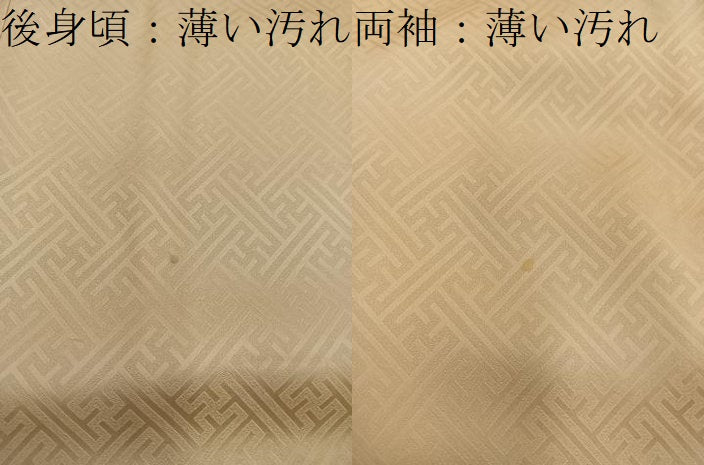 平和屋着物■訪問着　総刺繍　スワトウ刺繍　草花丸文　正絹　逸品　BAAY0210mz