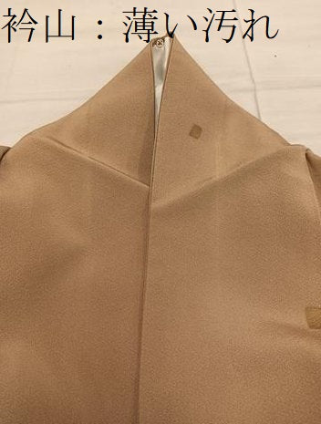 平和屋着物■上質な小紋　箔散らし　金彩　正絹　逸品　BAAY0228mz