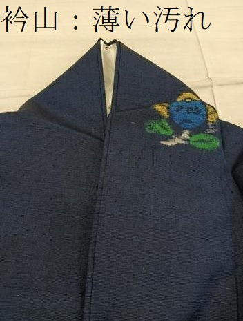 平和屋着物■上質な紬　草花文　正絹　逸品　BAAY0244mz
