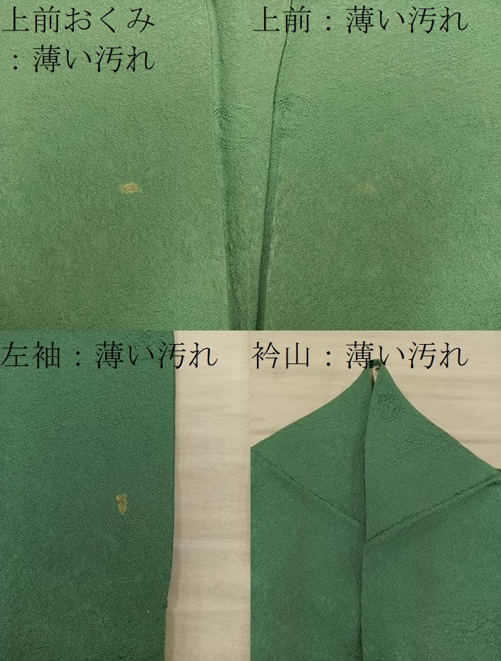 平和屋着物■上質な色無地　作家物　草花地紋　老竹色　三越扱い　正絹　逸品　BAAY0307mz