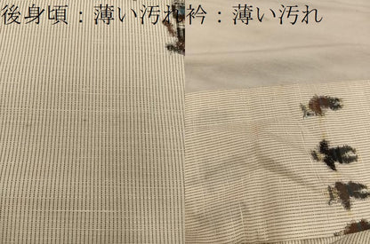 平和屋着物■上質な紬　祇園祭　正絹　逸品　BAAY0353mz