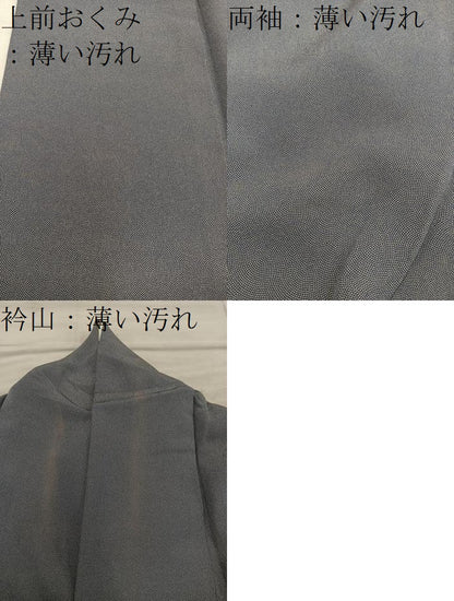 平和屋着物■江戸小紋　作家物　本草木染　鮫小紋柄　正絹　逸品　BAAY0356mz