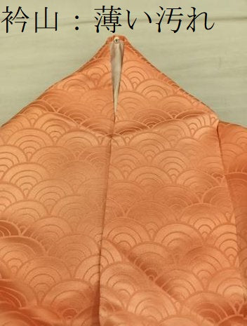 平和屋着物■上質な小紋　青海波地紋　暈し染め　正絹　逸品　BAAY0367mz