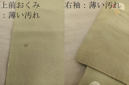 平和屋着物■上質な小紋　枝椿　金彩　正絹　逸品　BAAY0439mz