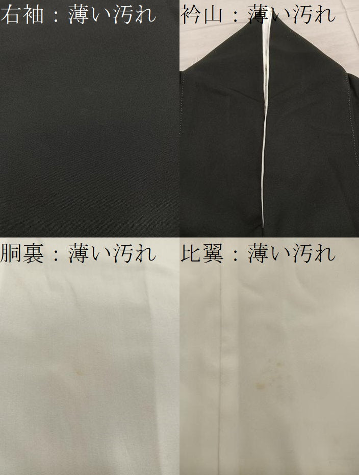 平和屋着物■豪華黒留袖　友禅　作家物　飛鶴風景文　正絹　逸品　BAAY0463mz