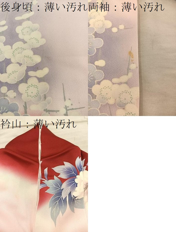 平和屋着物■豪華振袖　作家物　牡丹花文　暈し染め　銀彩　正絹　逸品　BAAY0466mz