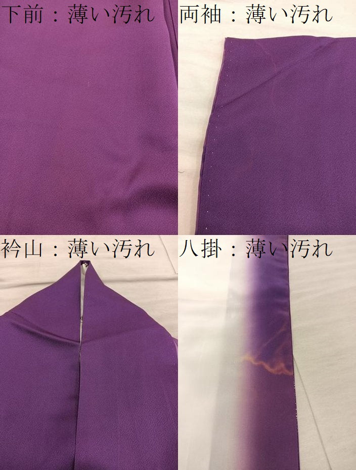 平和屋着物■訪問着　草花文　暈し染め　正絹　逸品　BAAY0486mz
