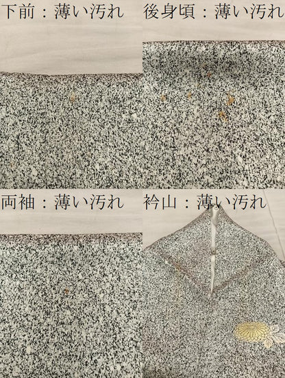 平和屋着物■訪問着　菊花文　たたき染め　金彩　正絹　逸品　BAAY0489mz