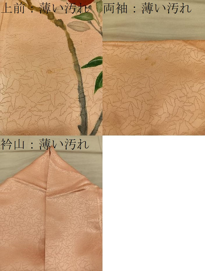 平和屋着物■訪問着　枝花文　正絹　逸品　BAAY0493mz