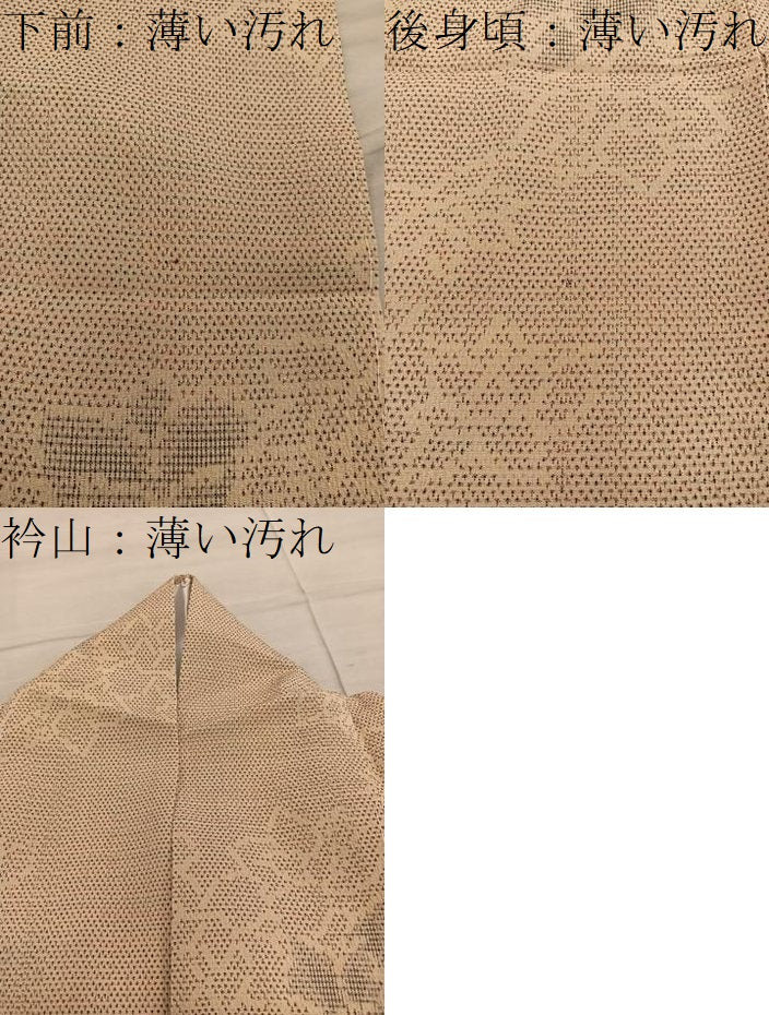平和屋着物■本塩沢　草花文　ますいわ屋扱い　正絹　逸品　BAAY0522mz