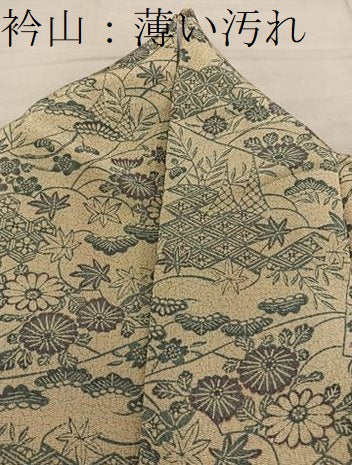 平和屋着物■上質な小紋　型染め　菊花文　鬼しぼ縮緬　正絹　逸品　BAAY0524mz