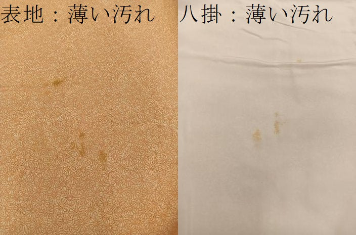 平和屋着物■江戸小紋　菊花文　正絹　逸品　BAAY0528mz