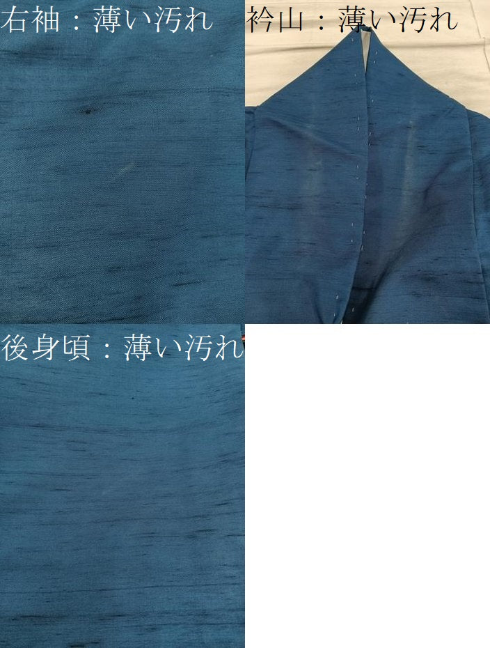 平和屋着物■訪問着　友禅　紬地　枝花文　正絹　逸品　BAAY0534mz