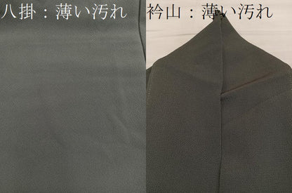 平和屋着物■訪問着　作家物　霞文　暈し染め　鬼しぼ縮緬　正絹　逸品　BAAY0565mz